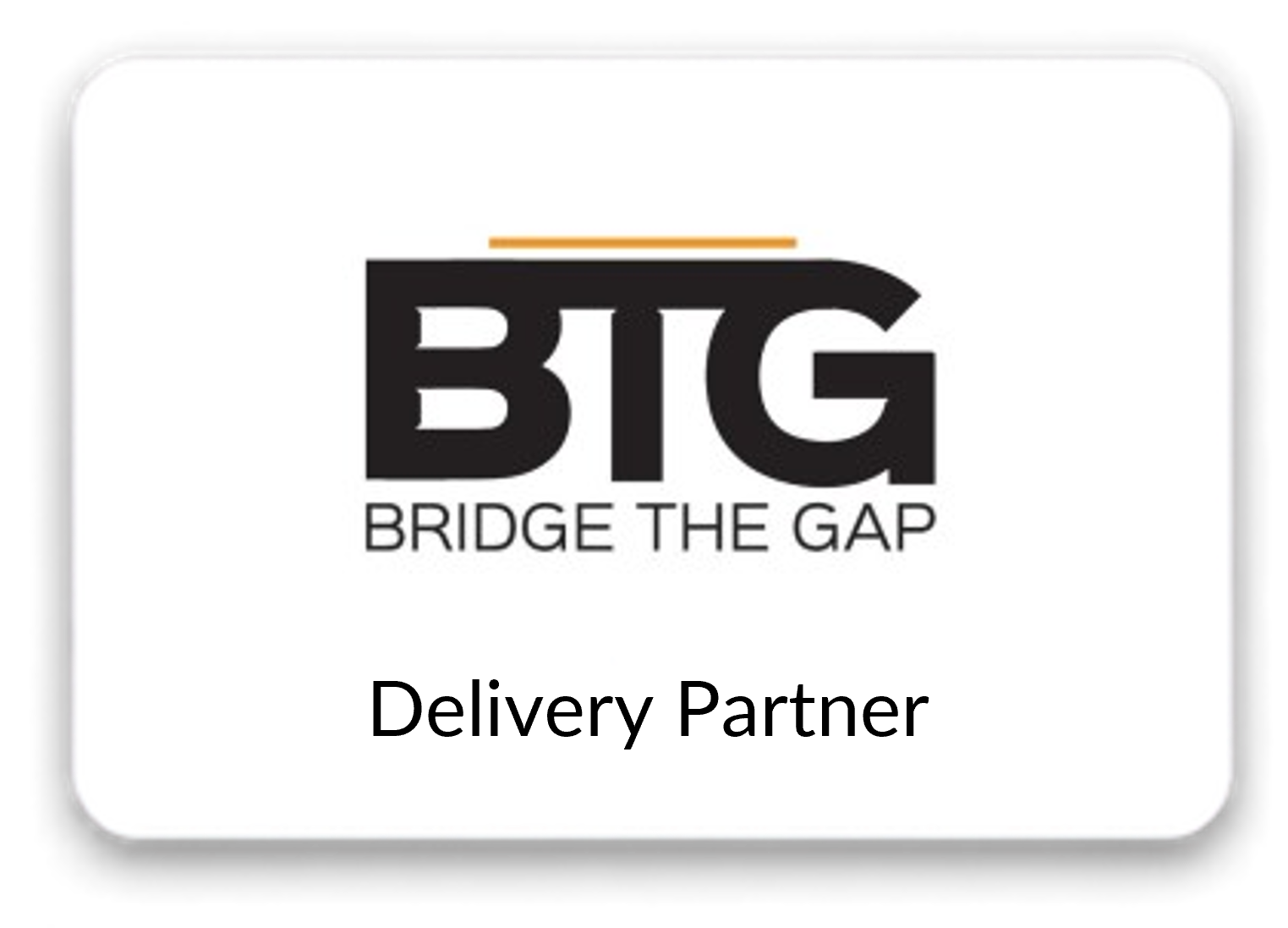Bridge (BTG) - Delivery Partner